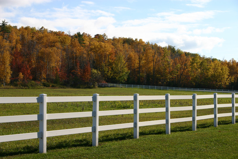 Tidy Wooden Fence made by our fencers at Padden builders